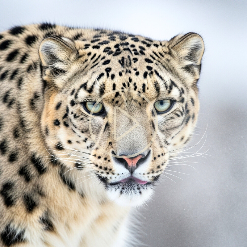 Exemplo 1 de Vídeo Cinematográfico